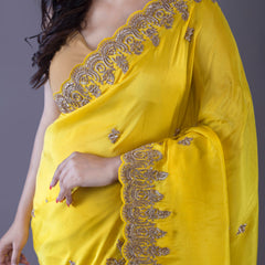 Silk tissue with Zardosi and Moti work