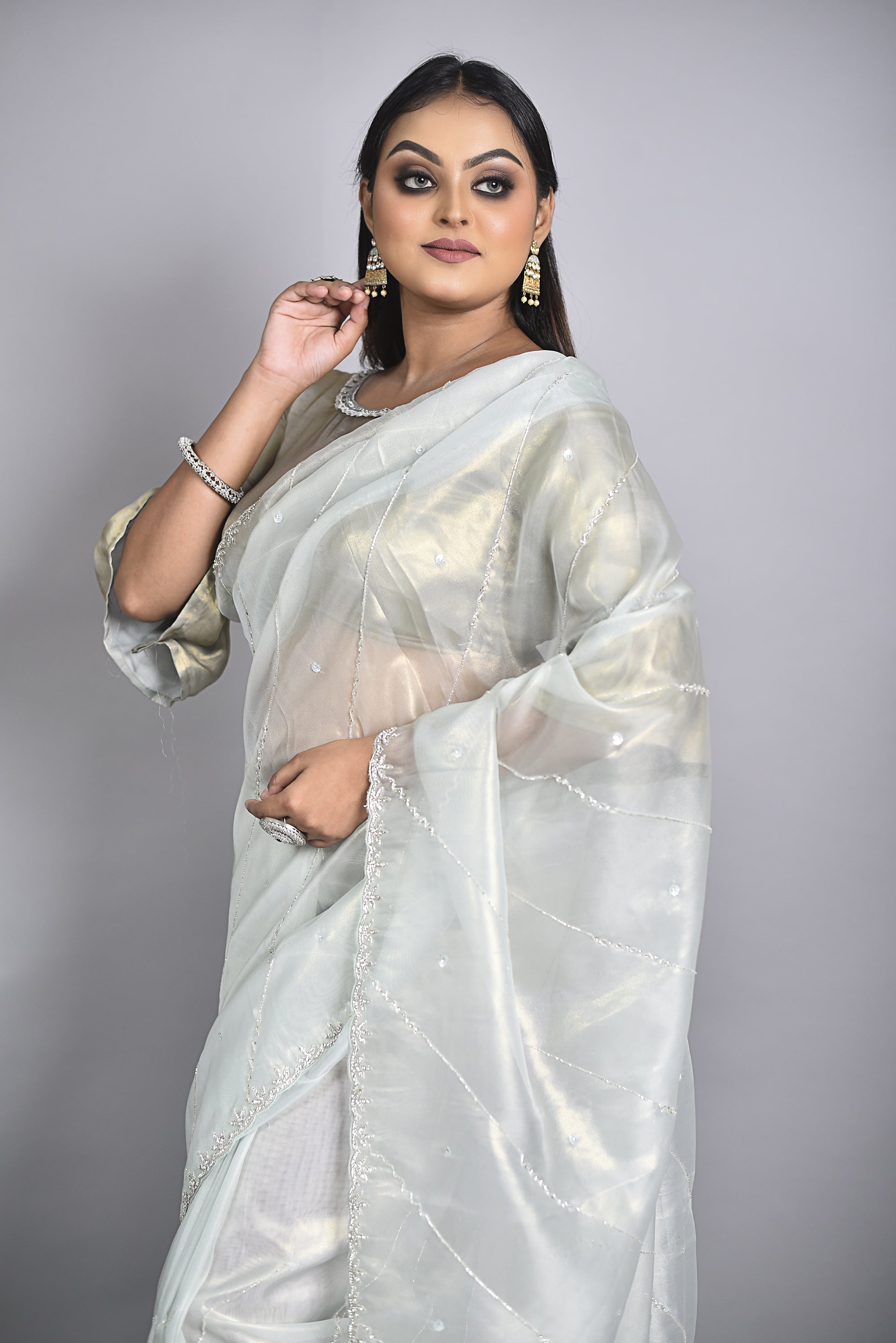 Silver Tissue Saree Secondary image