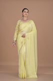 Crepe silk with embroidered border heavy blouse