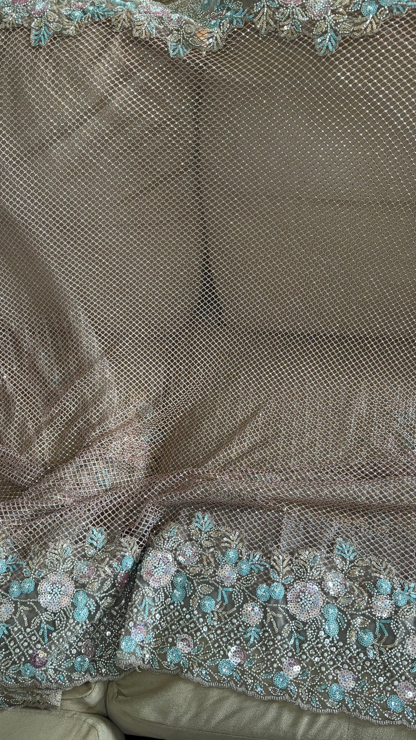 Net saree with heavy embroidered blouse and border