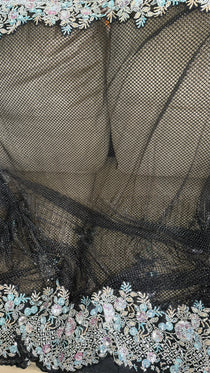 Net saree with heavy embroidered blouse and border