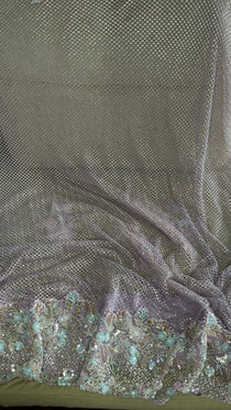 Net saree with heavy embroidered blouse and border