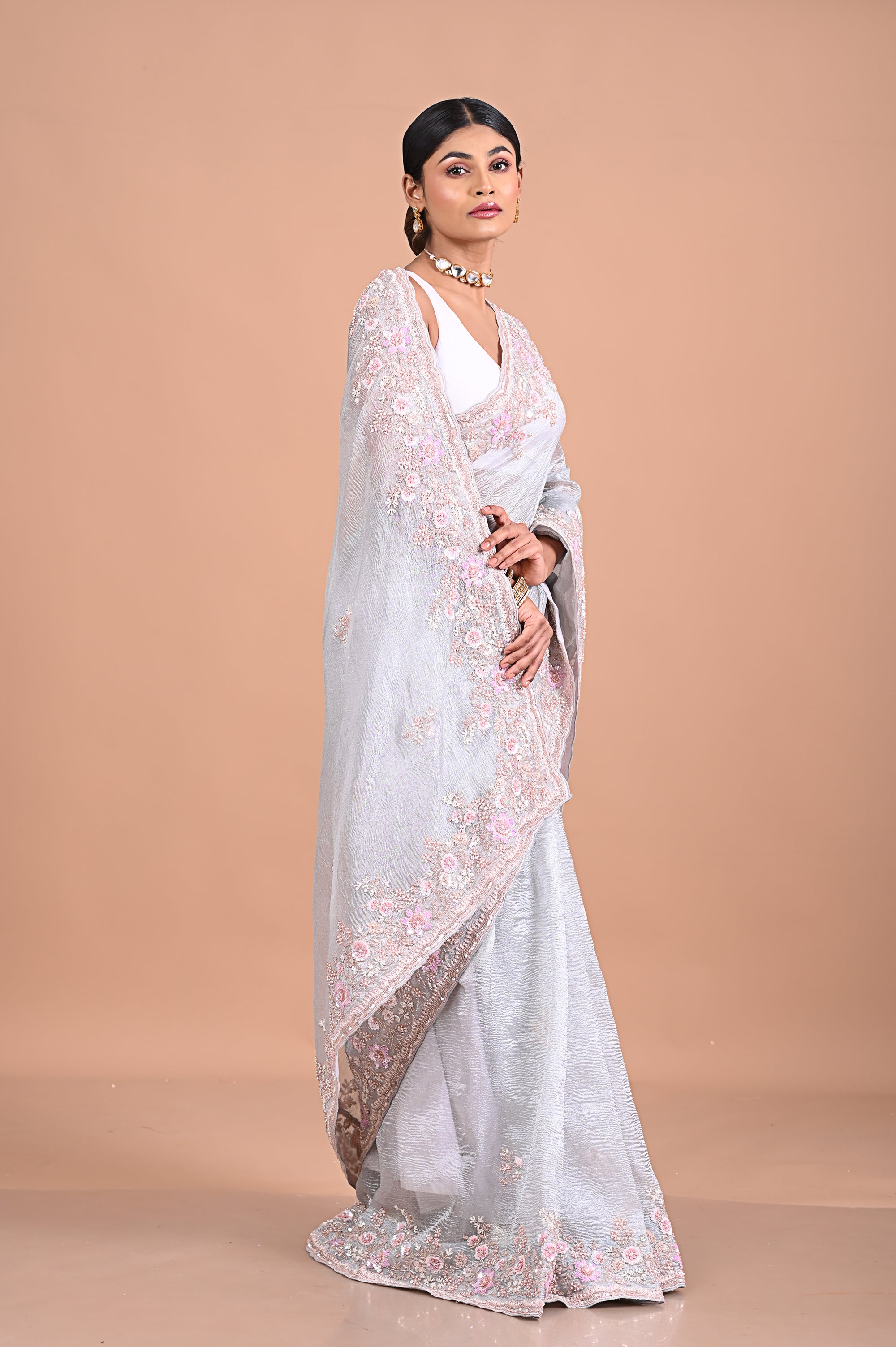 Tissue saree with hand embroidery