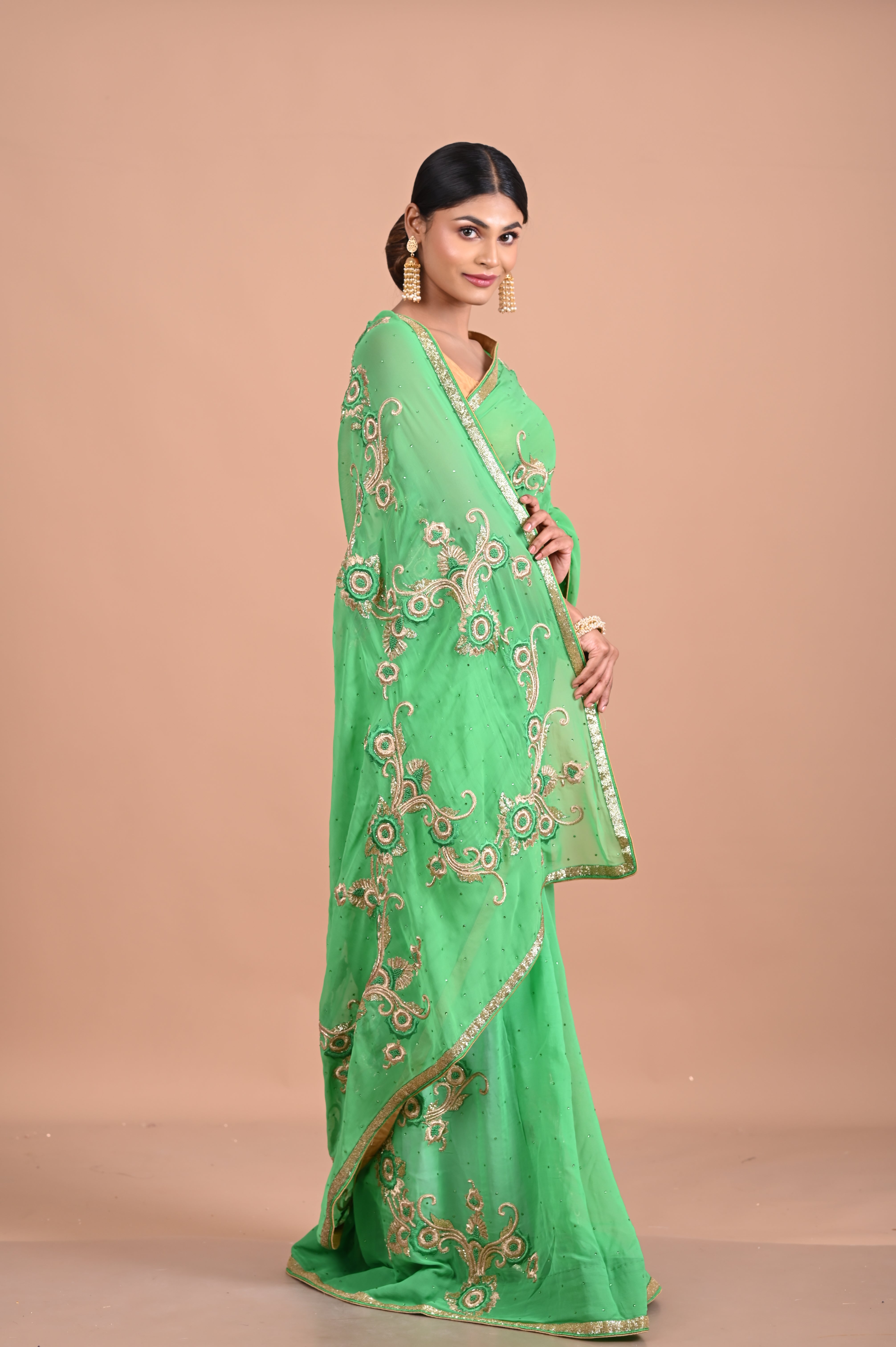 Green chiffon with designer embroidery