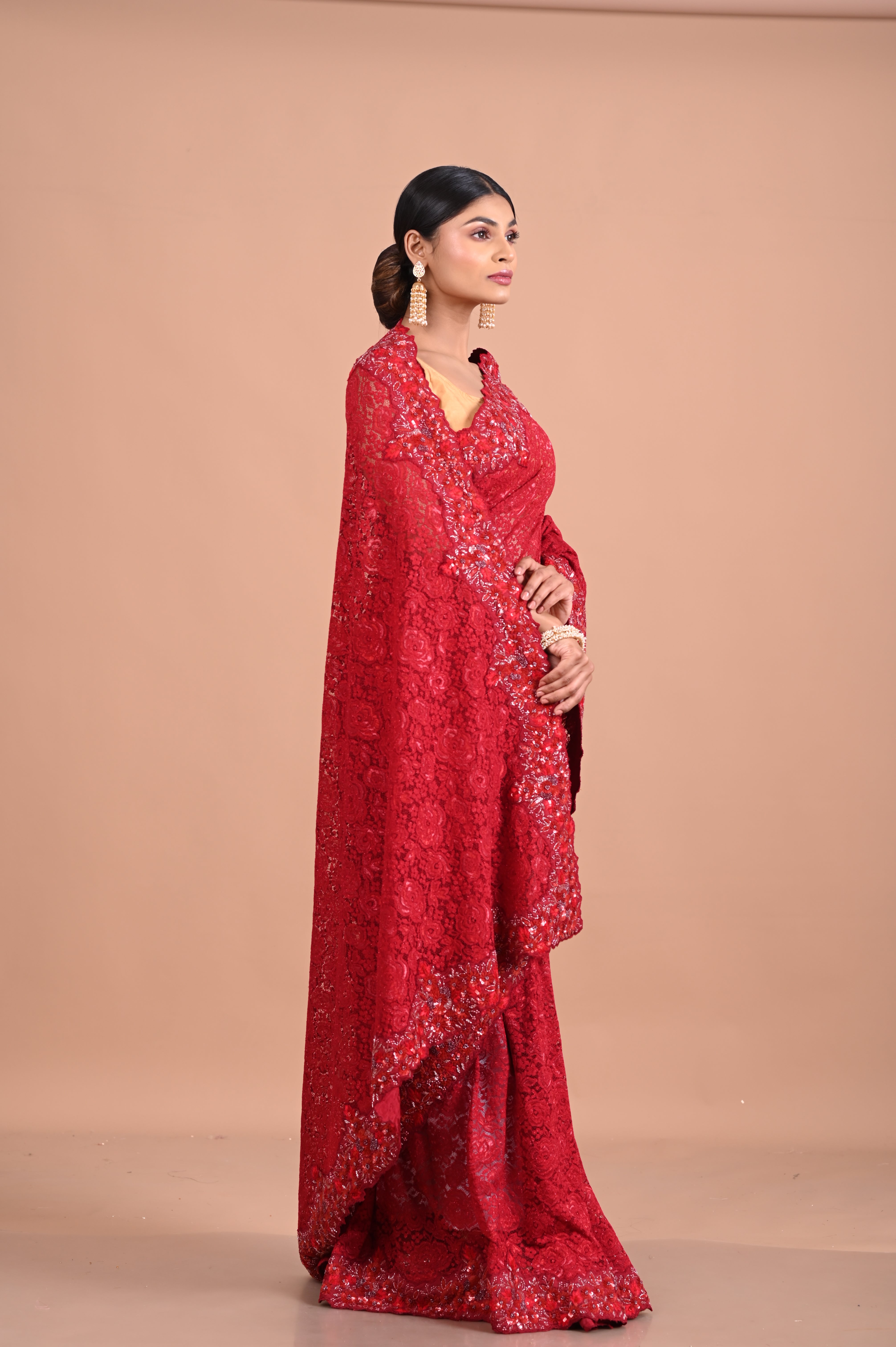 Chantily Lace saree with Sequence and embroidery work